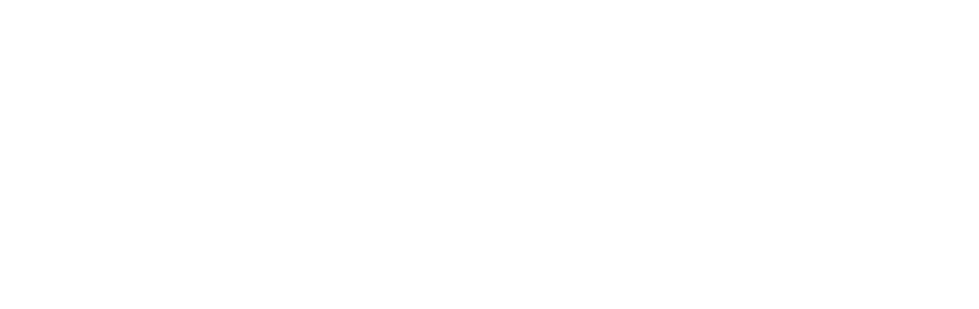 PAMI Logo